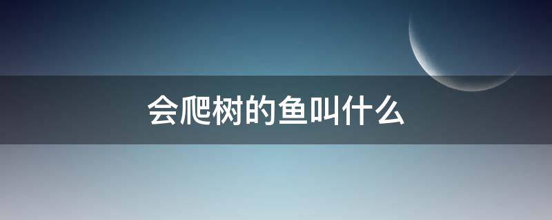 会爬树的鱼叫什么 哪种鱼会爬树叫什么