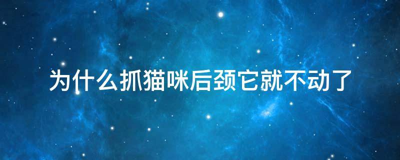 为什么抓猫咪后颈它就不动了（为什么抓猫的颈部它就不动了）