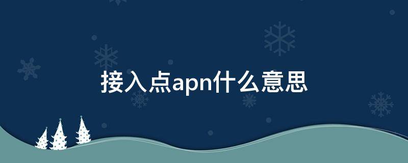 接入点apn什么意思（接入点APN是什么）