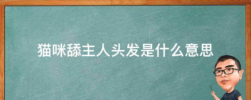 猫咪舔主人头发是什么意思（猫咪喜欢舔人头发什么意思）