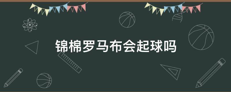 锦棉罗马布会起球吗 罗马棉料子起球吗