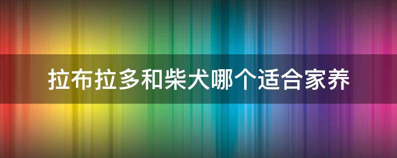 拉布拉多和柴犬哪个适合家养 拉布拉多和柴犬哪个好养