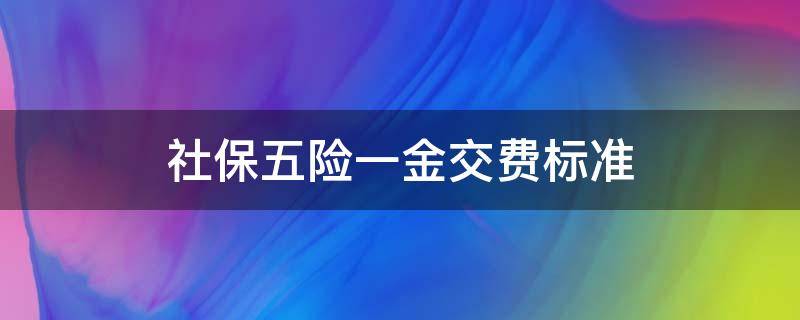 社保五险一金交费标准 社保五险一金缴费比例