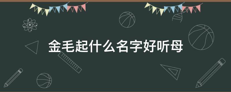 金毛起什么名字好听母（母金毛应该起什么名字）