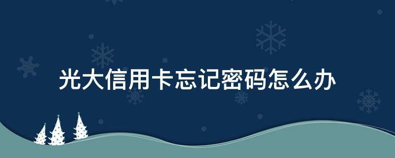 光大信用卡忘记密码怎么办 光大信用卡app密码忘了怎么办