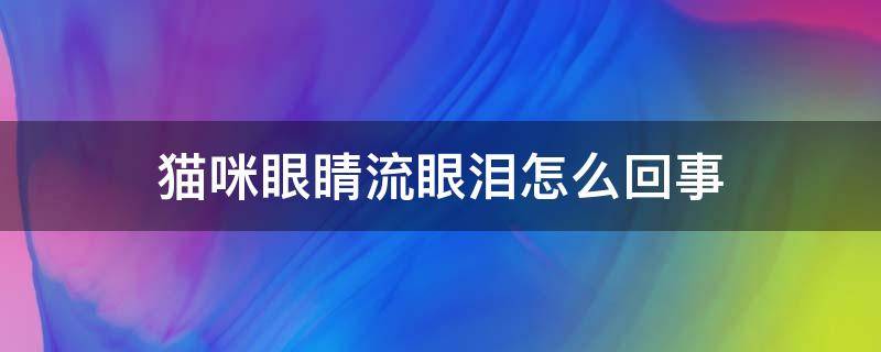 猫咪眼睛流眼泪怎么回事（猫咪眼睛出眼泪是怎么回事）