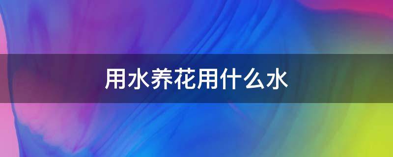 用水养花用什么水 养花用什么水养