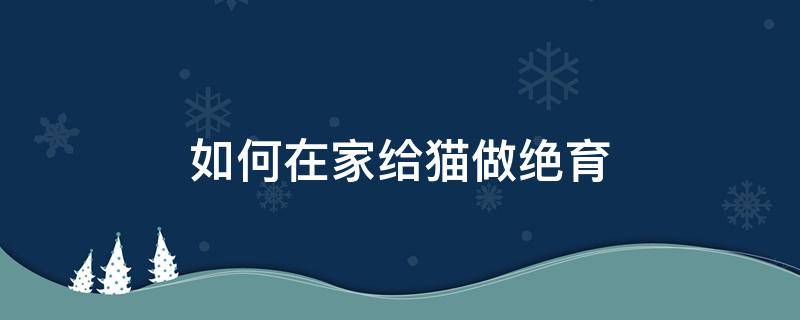 如何在家给猫做绝育 怎么在家给猫做绝育