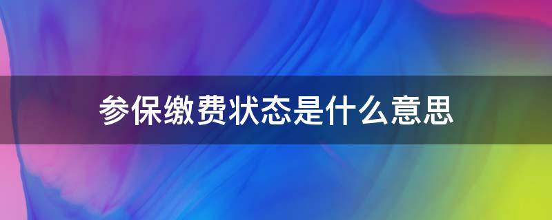 参保缴费状态是什么意思（参保状态是参保缴费）