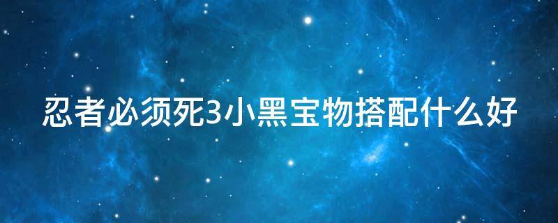 忍者必须死3小黑宝物搭配什么好（忍者必须死3小黑带什么武器）