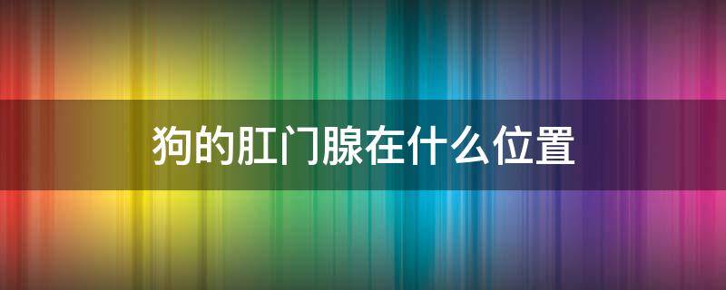 狗的肛门腺在什么位置（狗狗的肛门腺是什么样子）