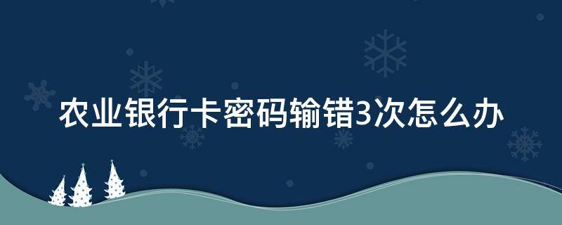 农业银行卡密码输错3次怎么办（农业银行卡密码输错两次）