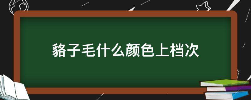 貉子毛什么颜色上档次 貉子毛哪种颜色最贵