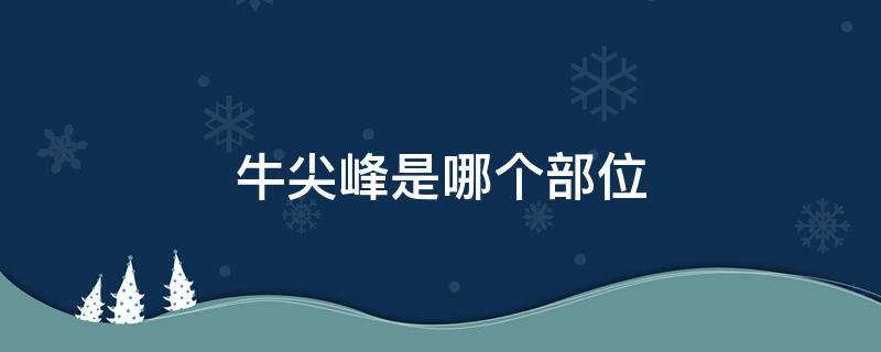 牛尖峰是哪个部位（牛尖峰部位图）