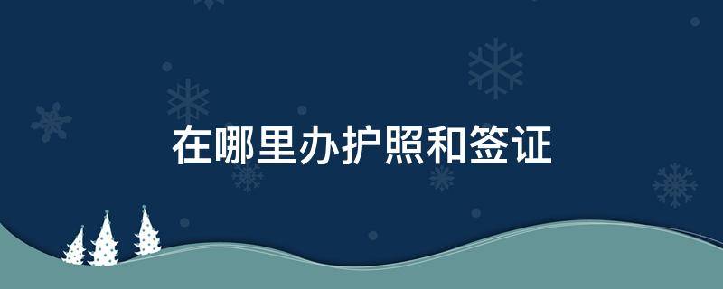 在哪里办护照和签证（在哪里可以办护照签证）