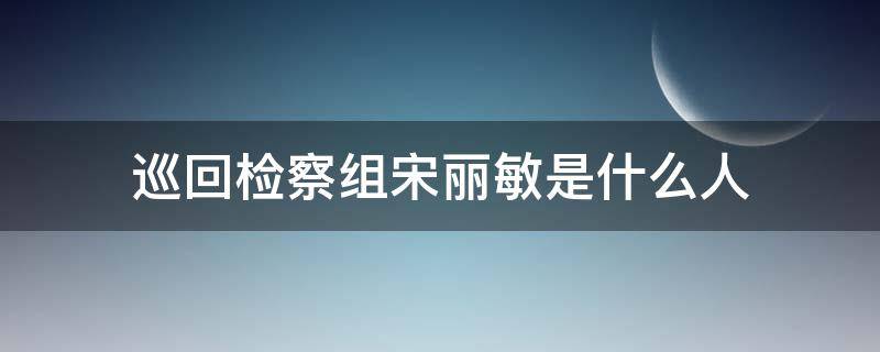 巡回检察组宋丽敏是什么人 巡回检察组宋丽敏身份