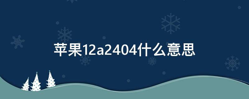 苹果12a2404什么意思 苹果12a204是什么意思