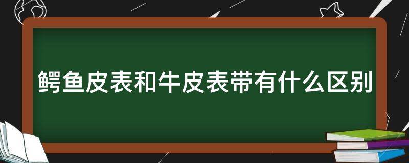 鳄鱼皮表和牛皮表带有什么区别（鳄鱼皮表和牛皮表带有什么区别呢）