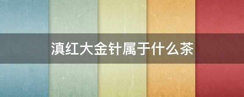 滇红大金针属于什么茶 滇红茶 大金针