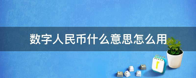 数字人民币什么意思怎么用（什么叫数字人民币怎么用）