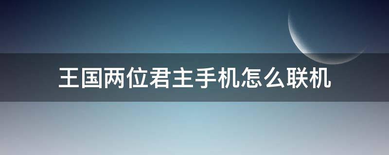 王国两位君主手机怎么联机（王国两位君主怎么联机）