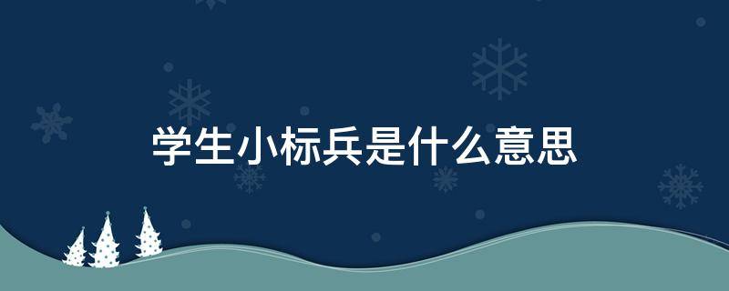 学生小标兵是什么意思（幼儿园学生小标兵是什么意思）