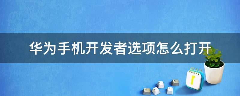 华为手机开发者选项怎么打开（华为手机开发者选项怎么打开密码怎么改?）