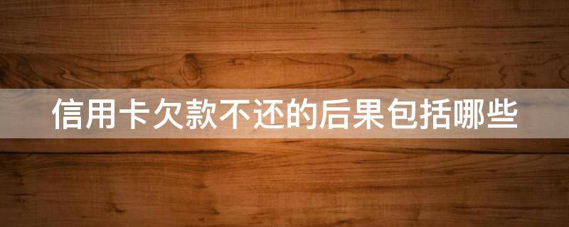 信用卡欠款不还的后果包括哪些（信用卡欠款不还的后果包括哪些内容）