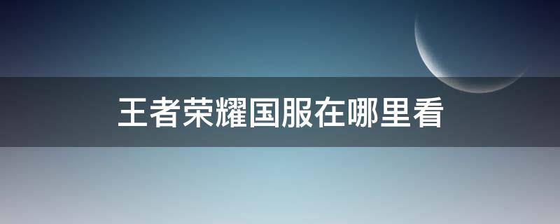 王者荣耀国服在哪里看 王者荣耀国服在哪里看?