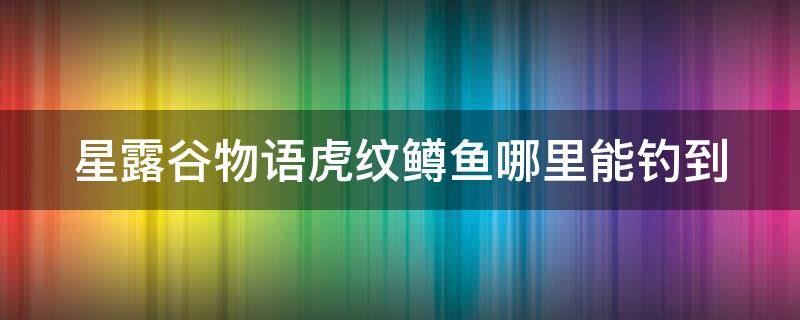 星露谷物语虎纹鳟鱼哪里能钓到 星露谷物语虎纹鳟鱼怎么钓