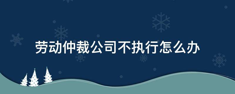 劳动仲裁公司不执行怎么办（申请劳动仲裁公司不执行怎么办）