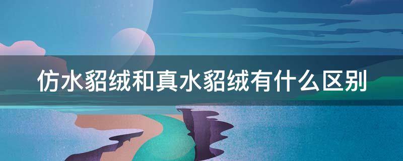 仿水貂绒和真水貂绒有什么区别（仿水貂绒和真水貂绒有什么区别呢）