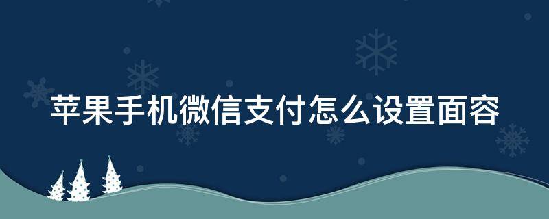 苹果手机微信支付怎么设置面容 苹果手机微信支付怎么设置面容解锁