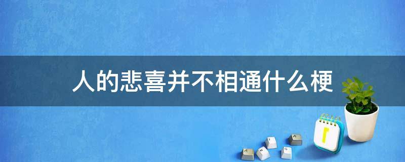 人的悲喜并不相通什么梗 人和人的悲欢并不相通什么梗