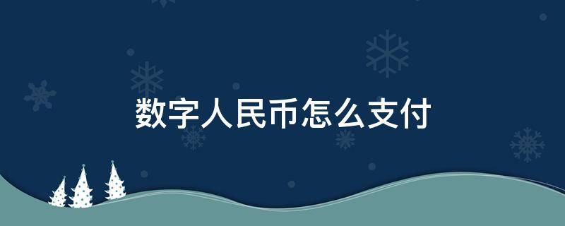 数字人民币怎么支付（数字人民币怎么支付饿了么）