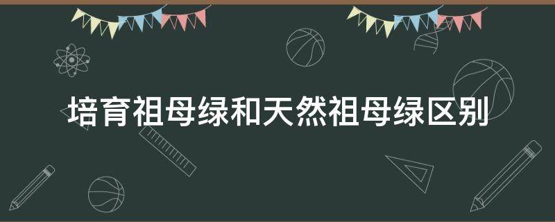 培育祖母绿和天然祖母绿区别（培育祖母绿和合成祖母绿的区别）