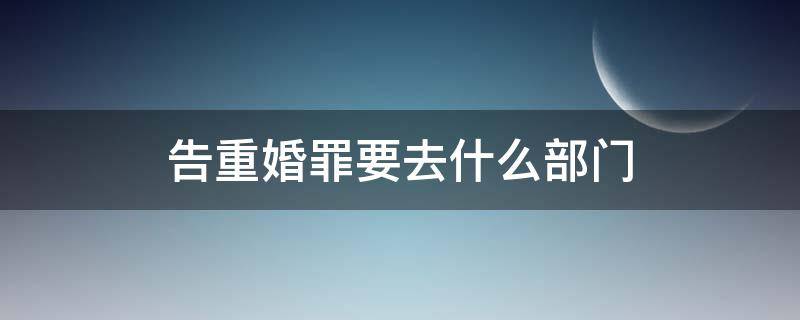 告重婚罪要去什么部门（重婚罪向哪个部门报案）