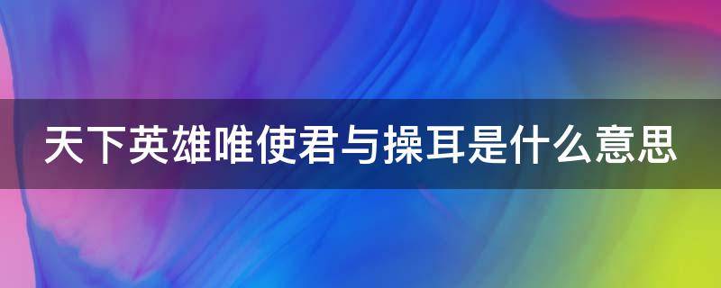 天下英雄唯使君与操耳是什么意思 天下英雄唯使君与操耳使君什么意思