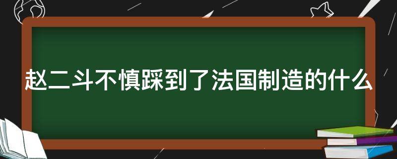 赵二斗不慎踩到了法国制造的什么 赵二斗不小心踩到了