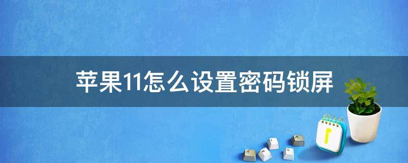 苹果11怎么设置密码锁屏（苹果11怎么设置密码锁屏别人打不开）