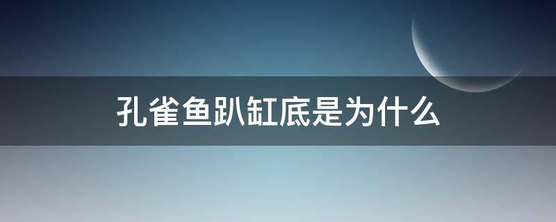 孔雀鱼趴缸底是为什么（新买的孔雀鱼趴缸底是为什么）