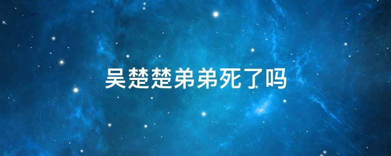 吴楚楚弟弟死了吗（吴楚楚弟弟死了么）