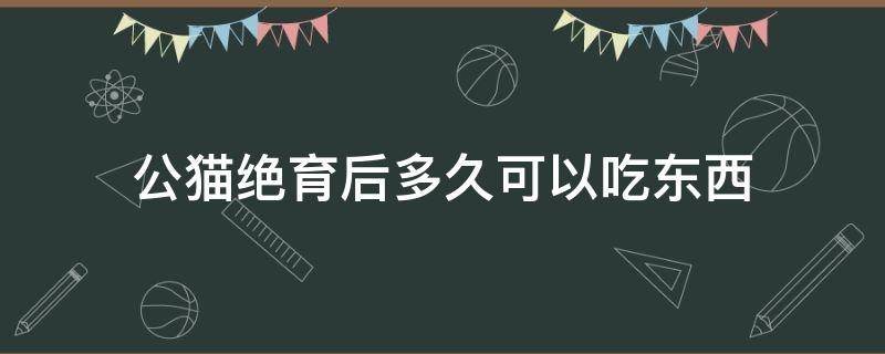 公猫绝育后多久可以吃东西 公猫绝育术后多久可以吃东西