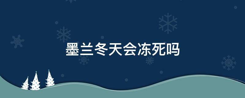 墨兰冬天会冻死吗 墨兰冬天怕冷吗