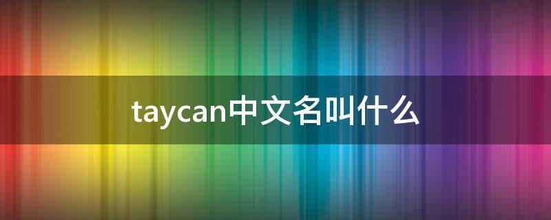 taycan中文名叫什么 taycan中文名叫什么价格