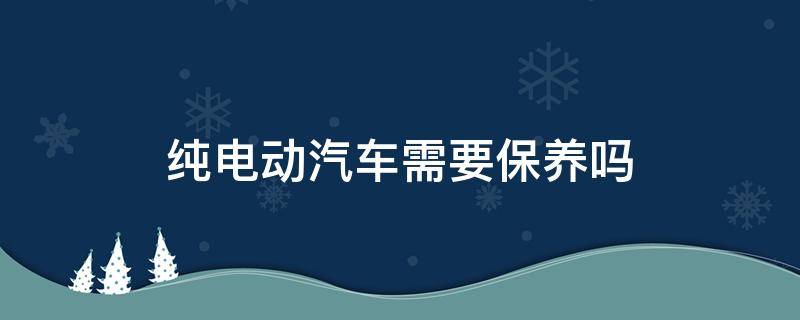 纯电动汽车需要保养吗（新能源纯电动汽车需要保养吗）