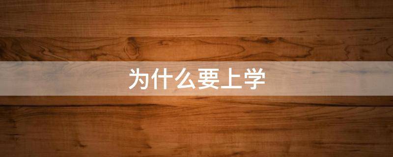 为什么要上学（为什么要上学作文800字）