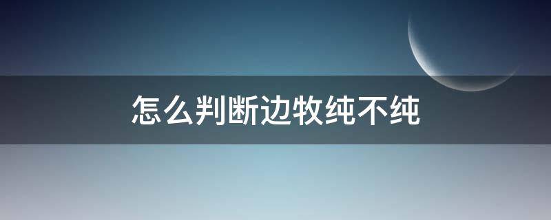 怎么判断边牧纯不纯 怎样鉴别边牧纯不纯