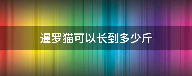 暹罗猫可以长到多少斤（暹罗猫能长到多少斤）