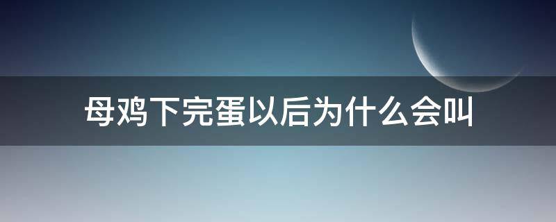 母鸡下完蛋以后为什么会叫 母鸡下完蛋以后为什么要叫